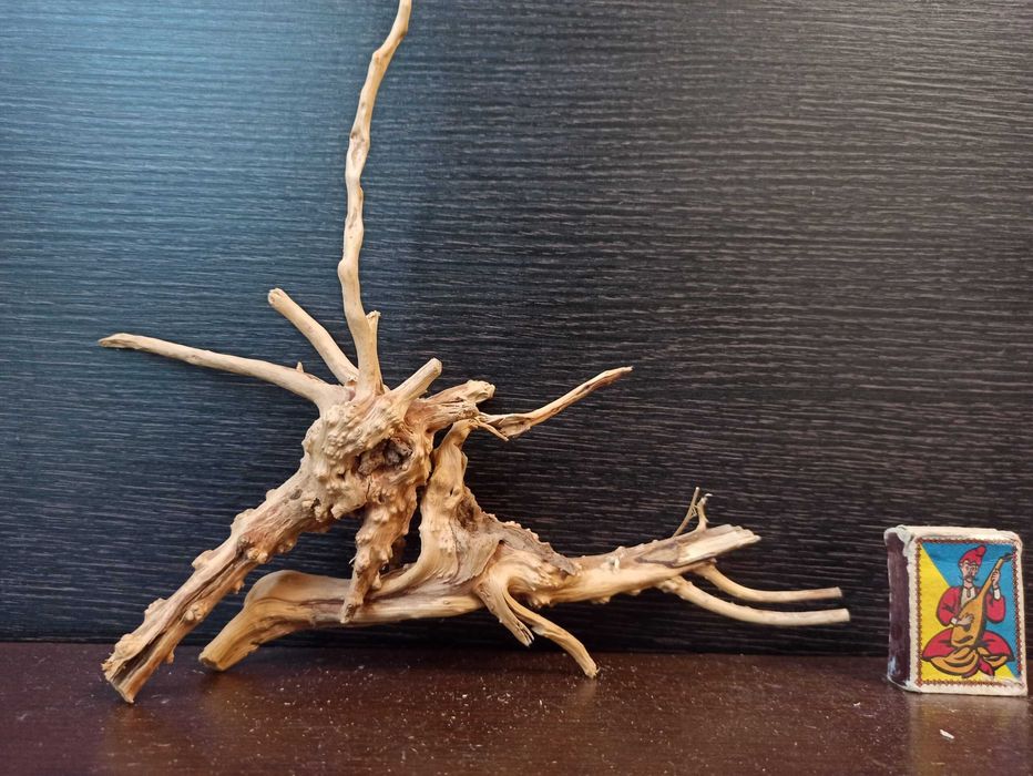 Композиція з коряг для акваріума #9. Азалія. Ціна 265 грн.