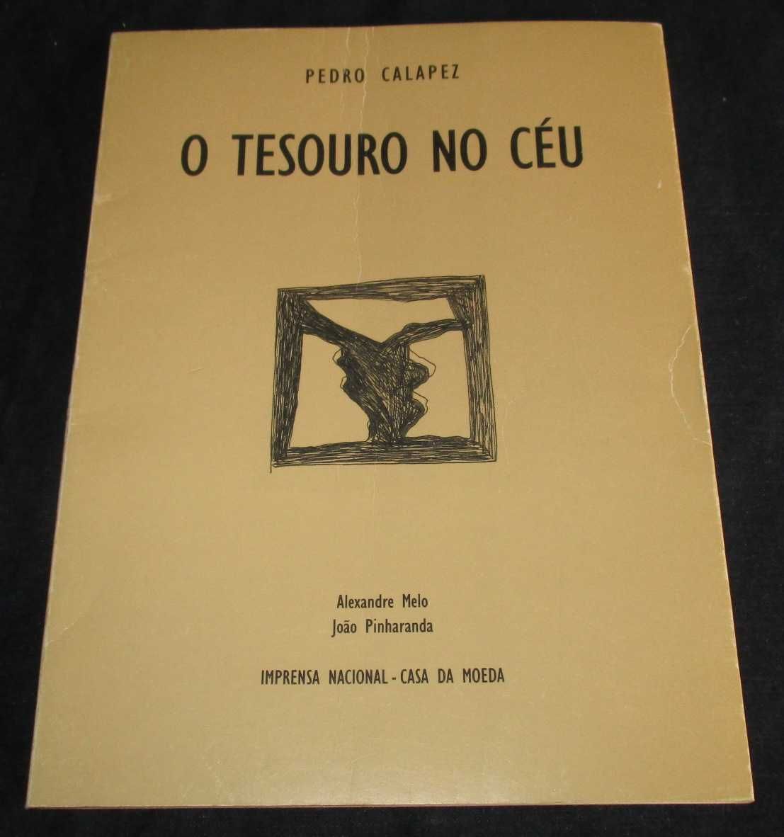 Livro O Tesouro no Céu Pedro Calapez