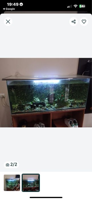 Продам акваріум 250л