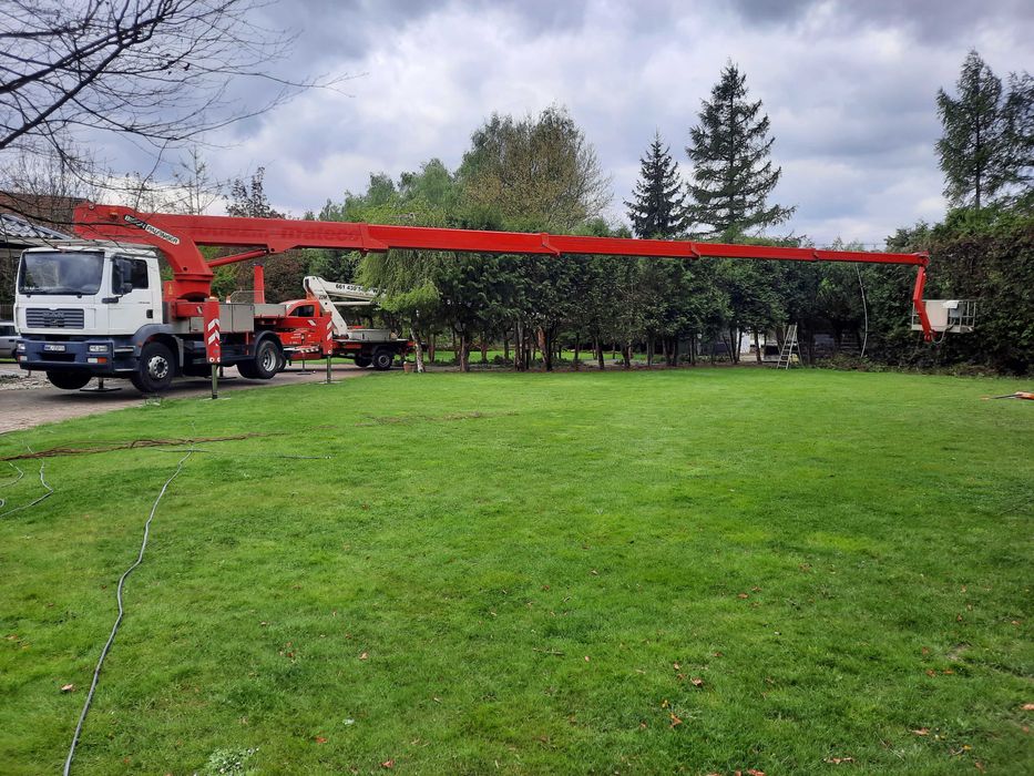 Wycinka drzew, pielegnacja drzew, podnośniki koszowe