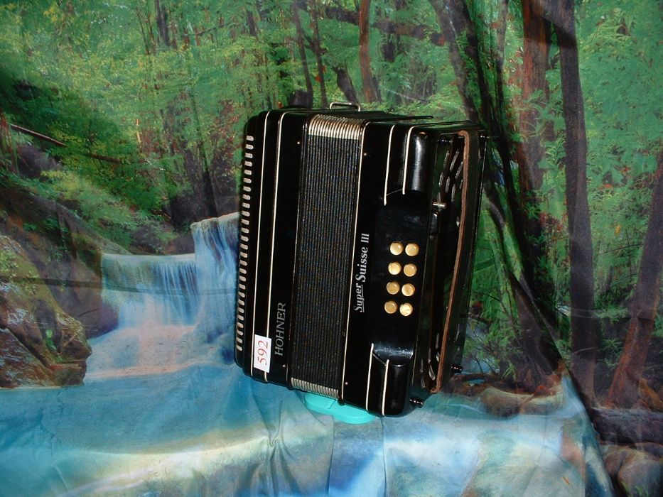 Concertina Para Venda n.592