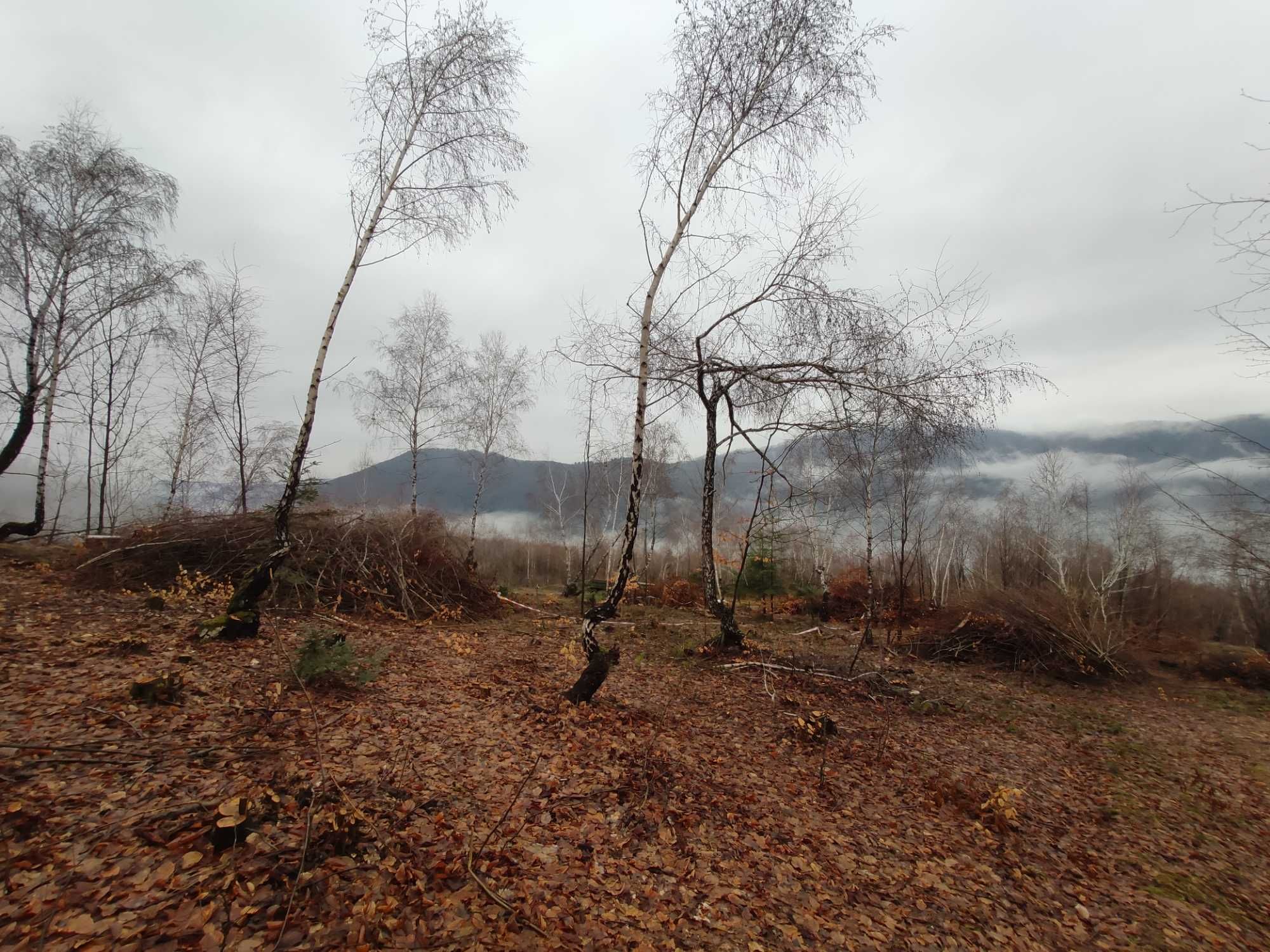 Ділянка в центрі турбази Красія, Закарпатська область