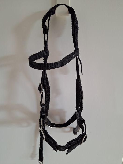 Hobby Horse kasztanowaty przepiękny