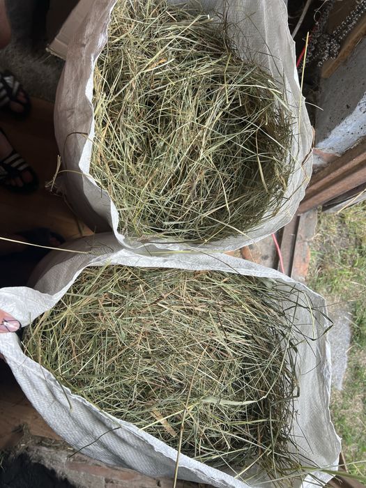 Sianko ekologiczne 4 kg