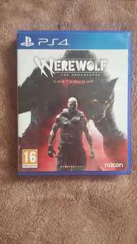 werewolf the apocalypse ps4 PL