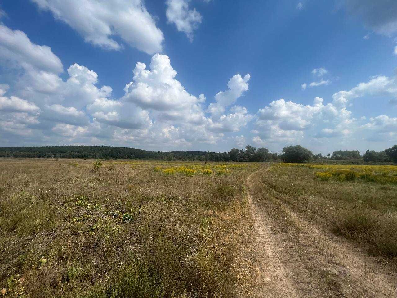 Ділянка ОСГ в с. Мироцьке, в Бучанському р-ні Київської обл 1,5982 га