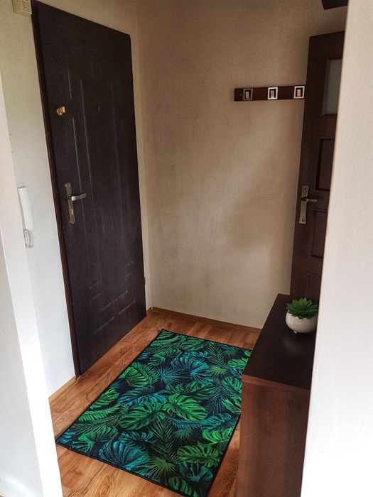 Mieszkanie 39 m2 na wynajem Wałbrzych