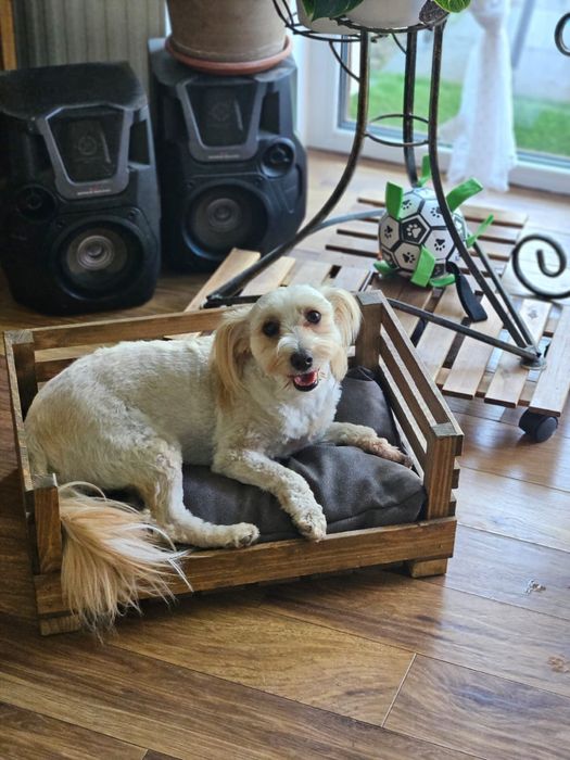 Drewniane łóżeczko dla psa/kota z poduszkom
