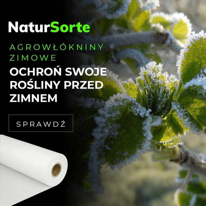 PRODUCENT - Agrowłóknina biała zimowa  100g/m2  12.65m x 25mb