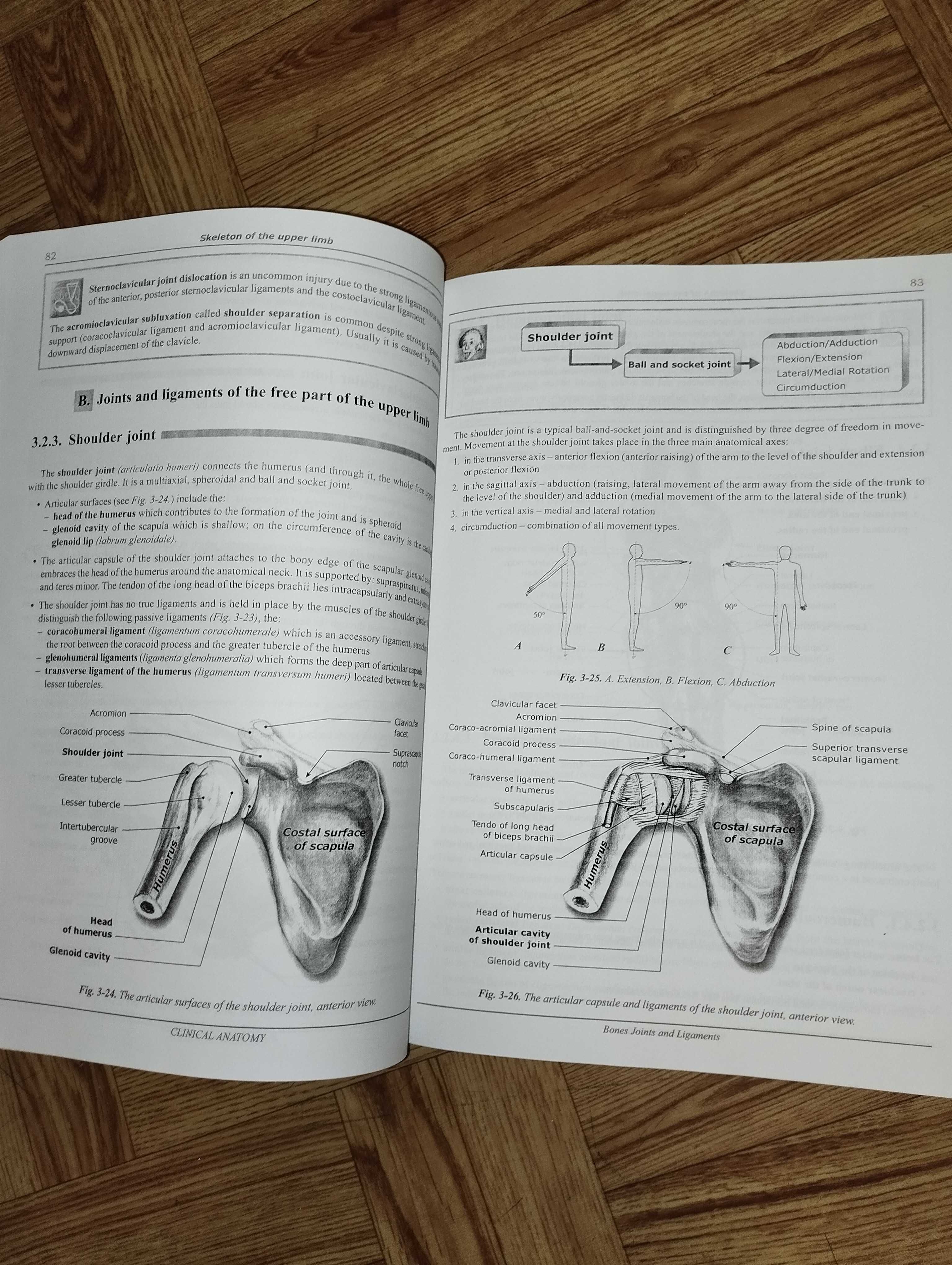 Clinical Anatomy. Bones, Joints and Ligaments