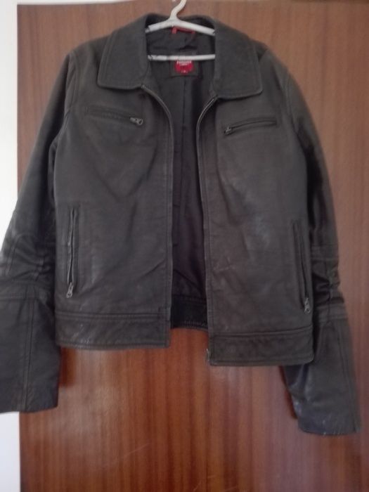 Blusão lion of porches