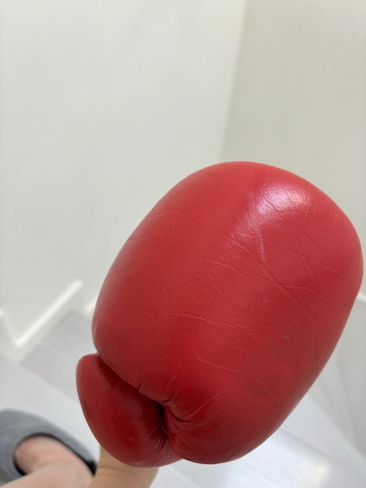 Боксерські рукавиці Reyguard шкіра 10 uz