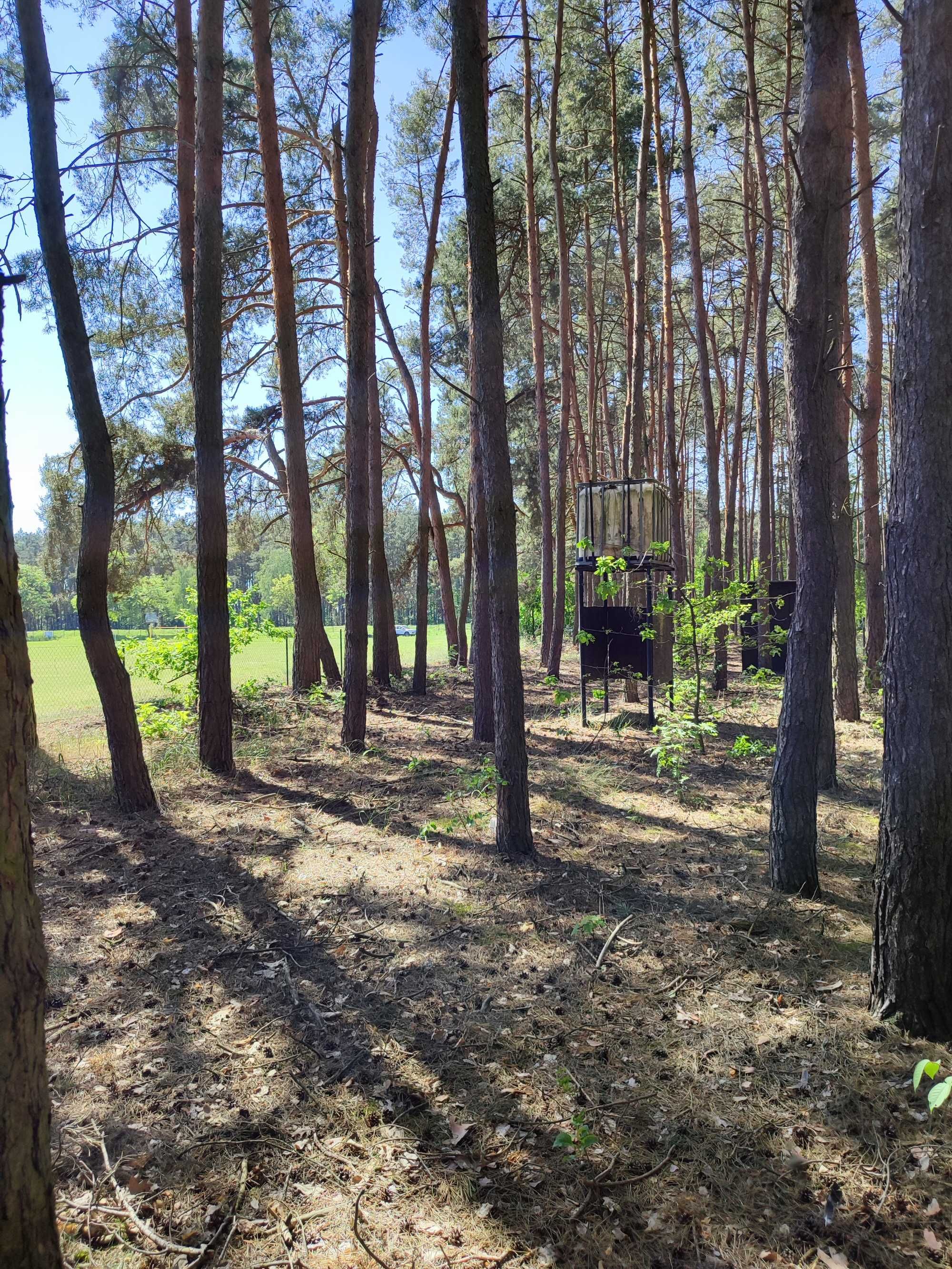 Działka nad jeziorem Wieleń 25 arów