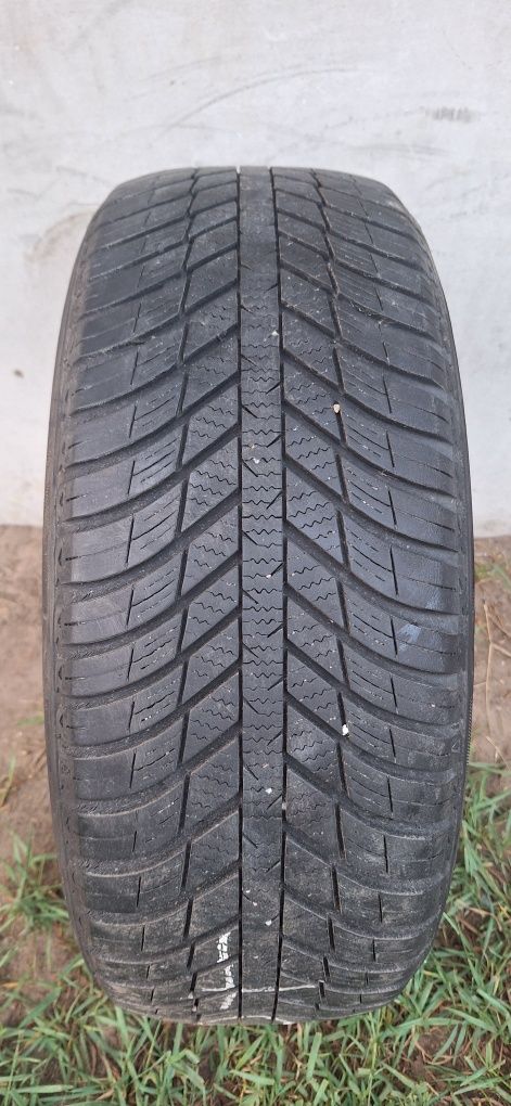 Opona 205/55R16 Nexen caloroczna