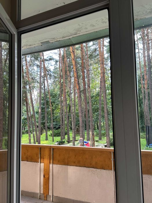 Будиночок у сосновому лісі біля Києва з мангалом і альтанкою