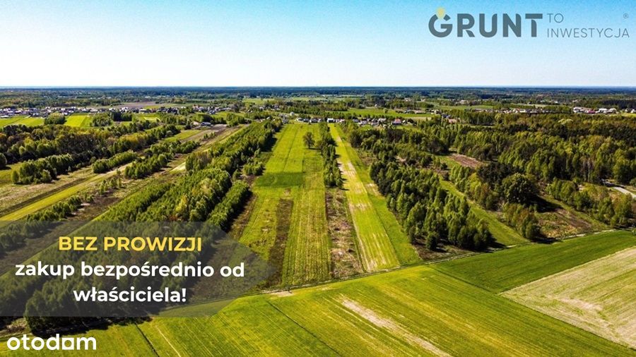 Pakiet działek pod lasem