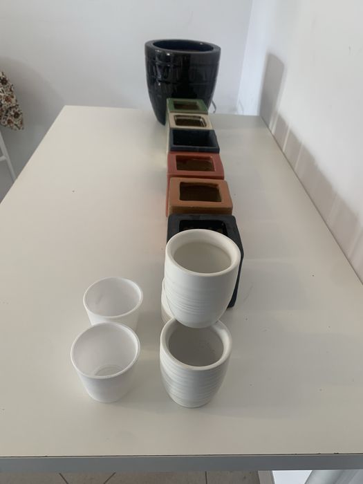 Conjunto com 12 vasos de plantas