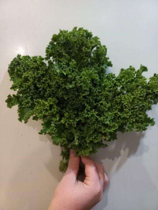 Капуста кале кейл