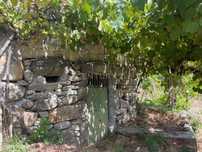 Uma propriedade rural de 1,5 hectares situada em Oliveira de Frades, q
