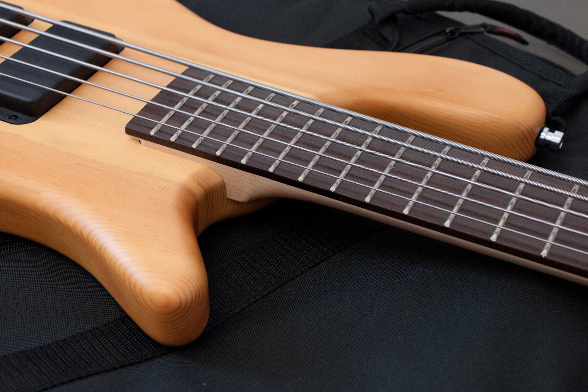 Warwick RB Streamer Standard 5 Cordas + Saco Gator