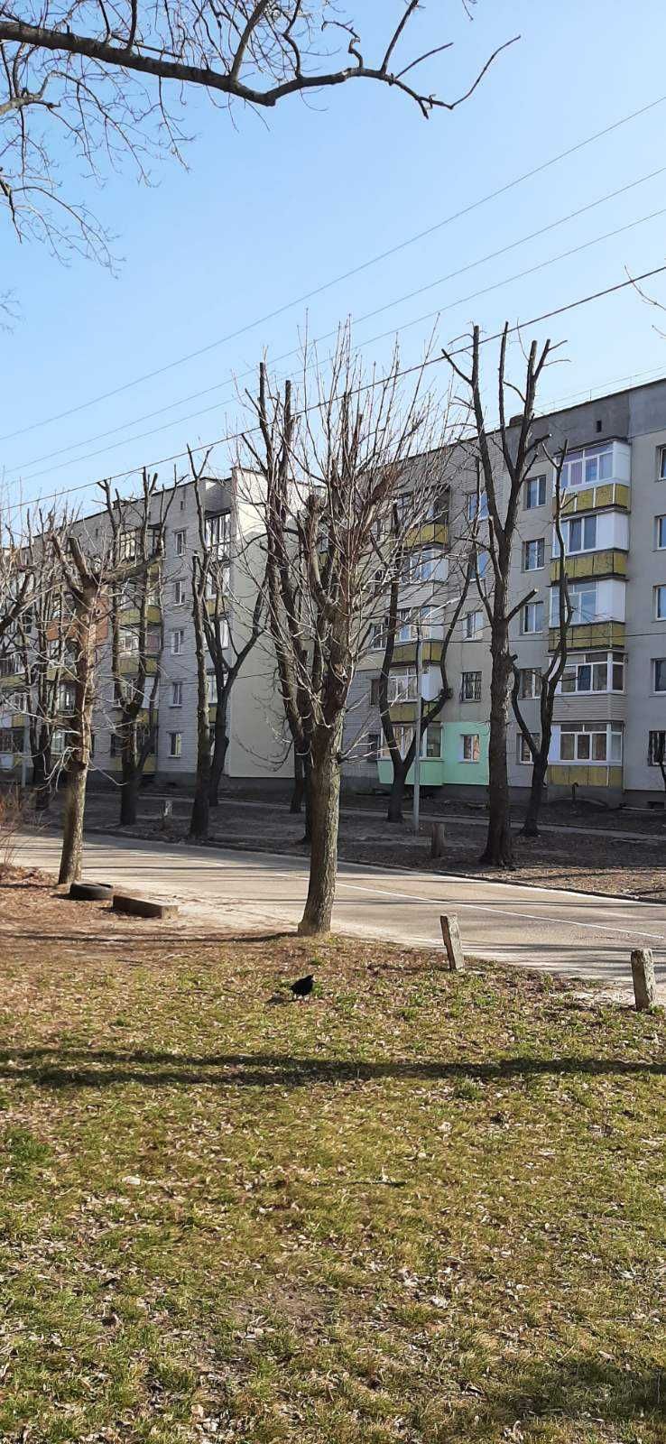 ЦЕНТР !   2 ком Чешка,    52 м2 ,  2/5к , Хозяин