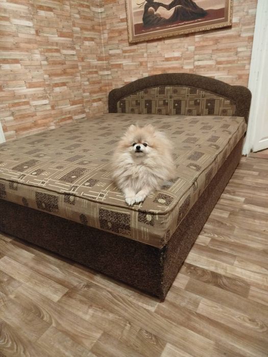 Продам кровать 160/200. Доставка