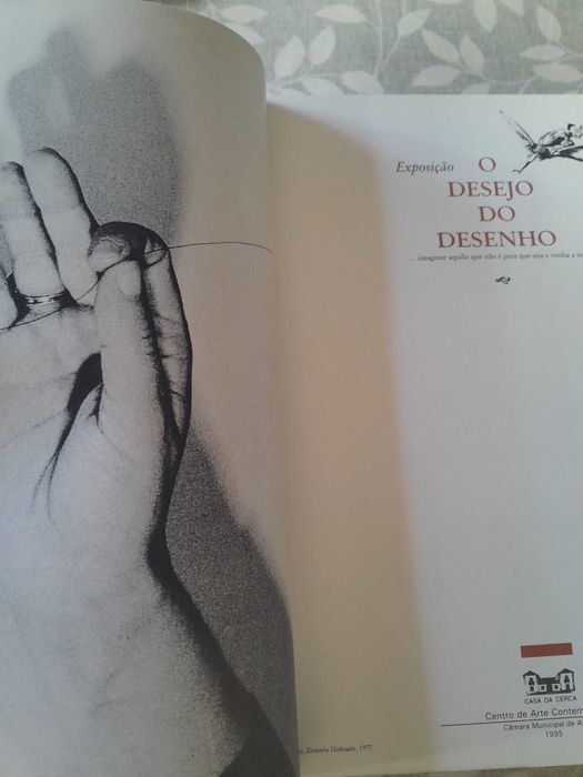 O desejo do Desenho
