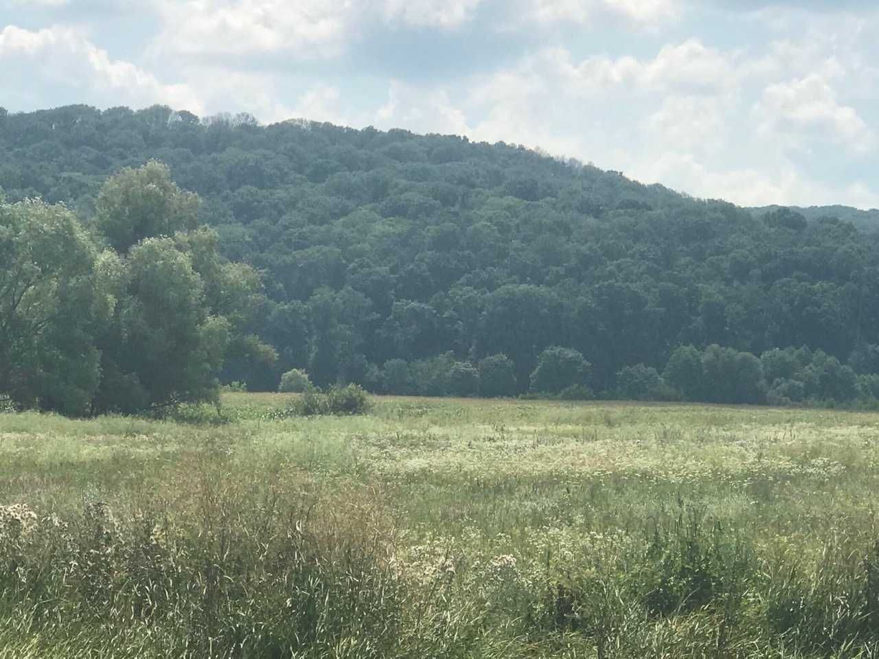 Продається земельна ділянка в с. Будище