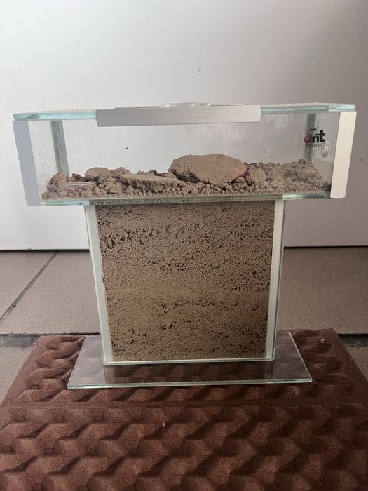 Formikarium mrowki arena terrarium raz użute