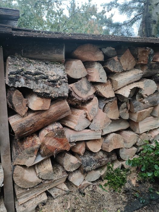 Drewno na opał i kominkowe, sosna, brzoza