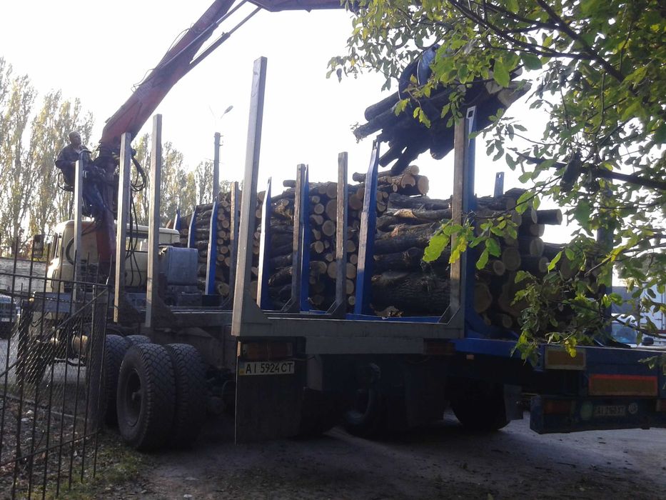 Продаємо дрова дубові,чурки метрівки,колоті і кругляк,колоди