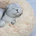 Cama para Gato Confort