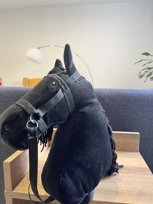 Koń hobby horse