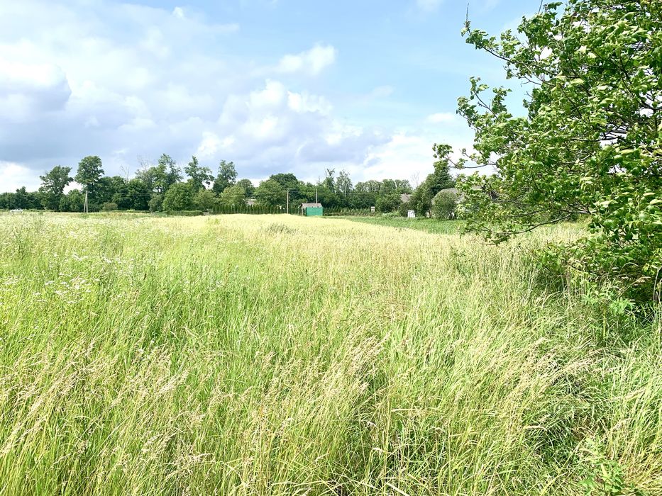 $ Продаж земельної ділянки в с. Грушвиця Друга