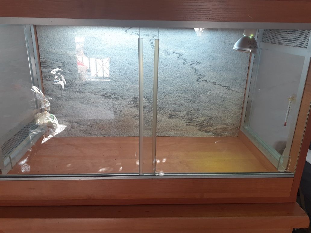 Terrarium na sprzedaż