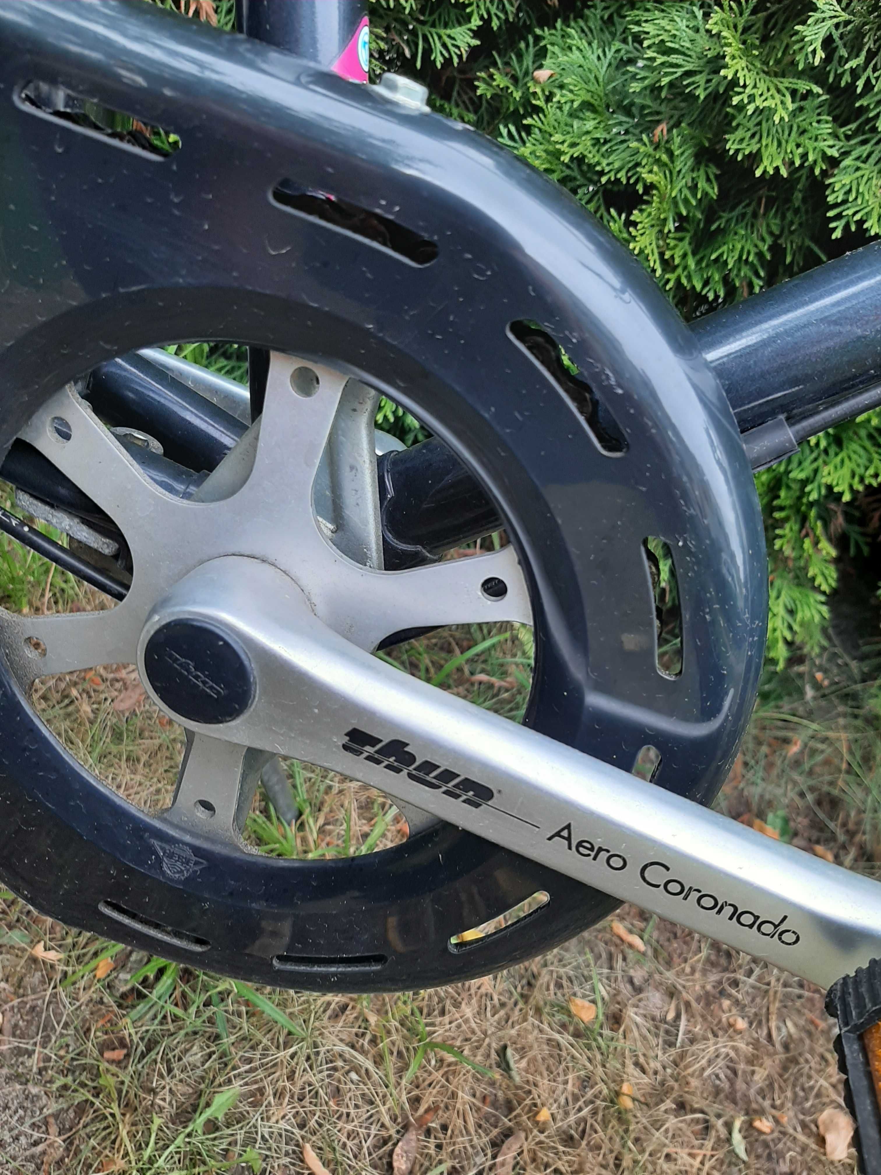 Rower miejski Diamant Spezial