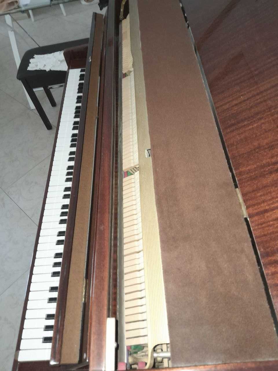 Акустичне фортепіано - піаніно Petrof Sonatina-105, №387793