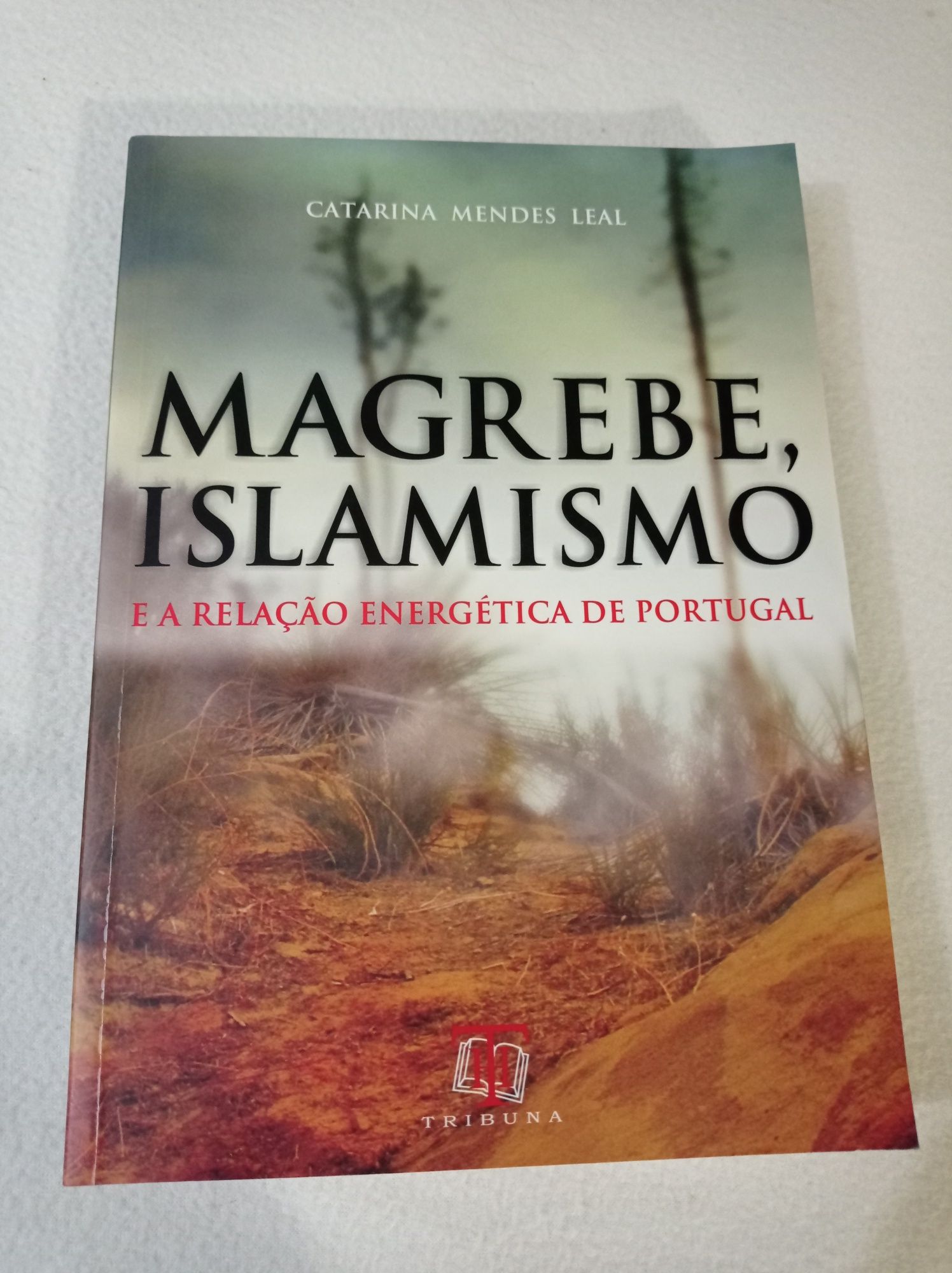 Magrebe, Islamismo - e a relação energética de Portugal