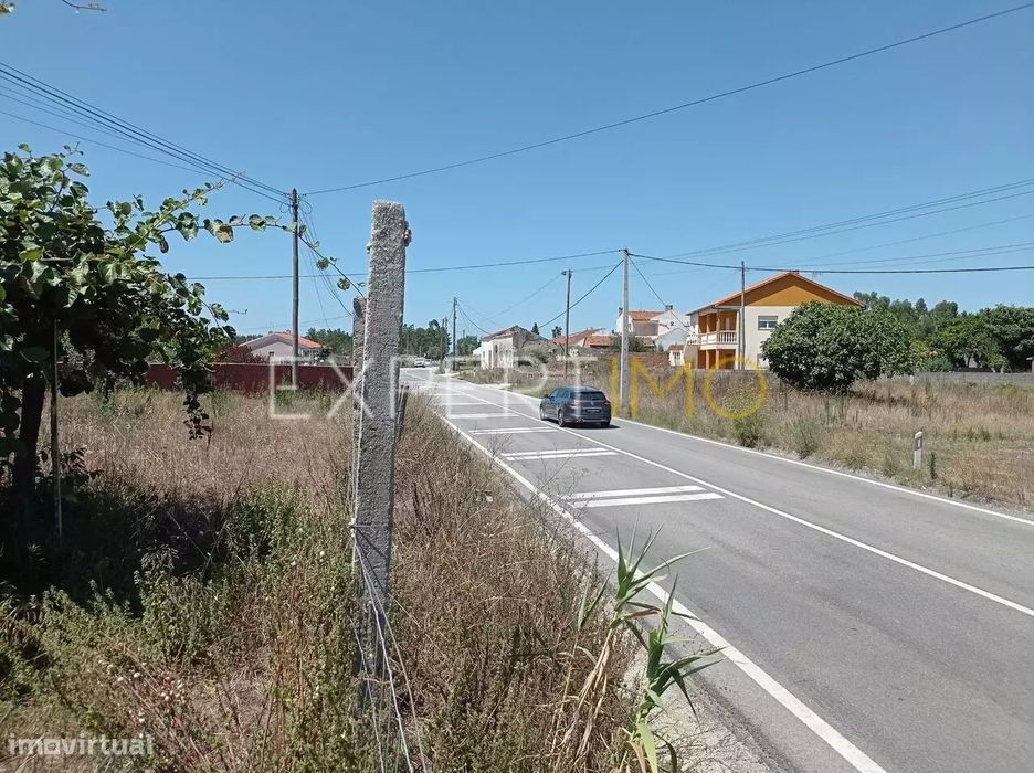 Terreno na EN109 a 2 minutos da A17 e IC8