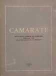 Camarate - Divulgação integral dos Pareceres Periciais