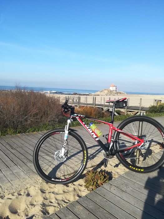 BTT Giant Carbono 29