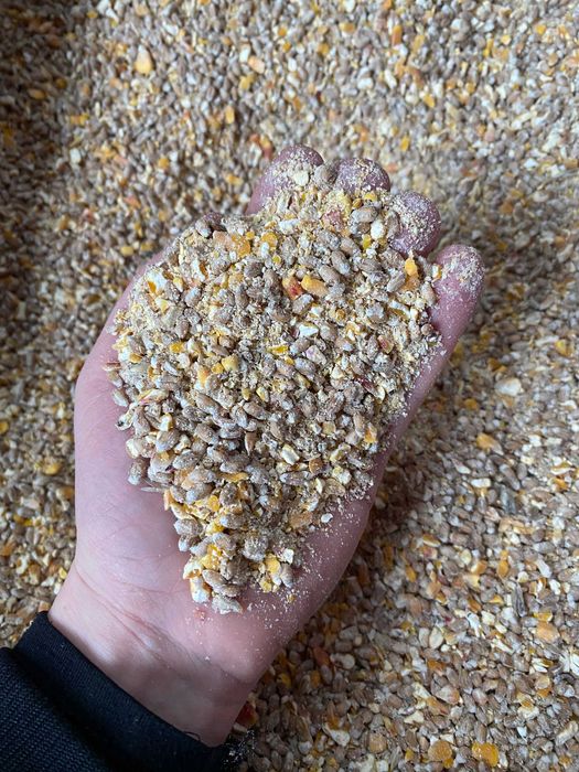 Pasza dla kur ekonomiczna STANDARD 25 kg Hurtownia Pasz Święte