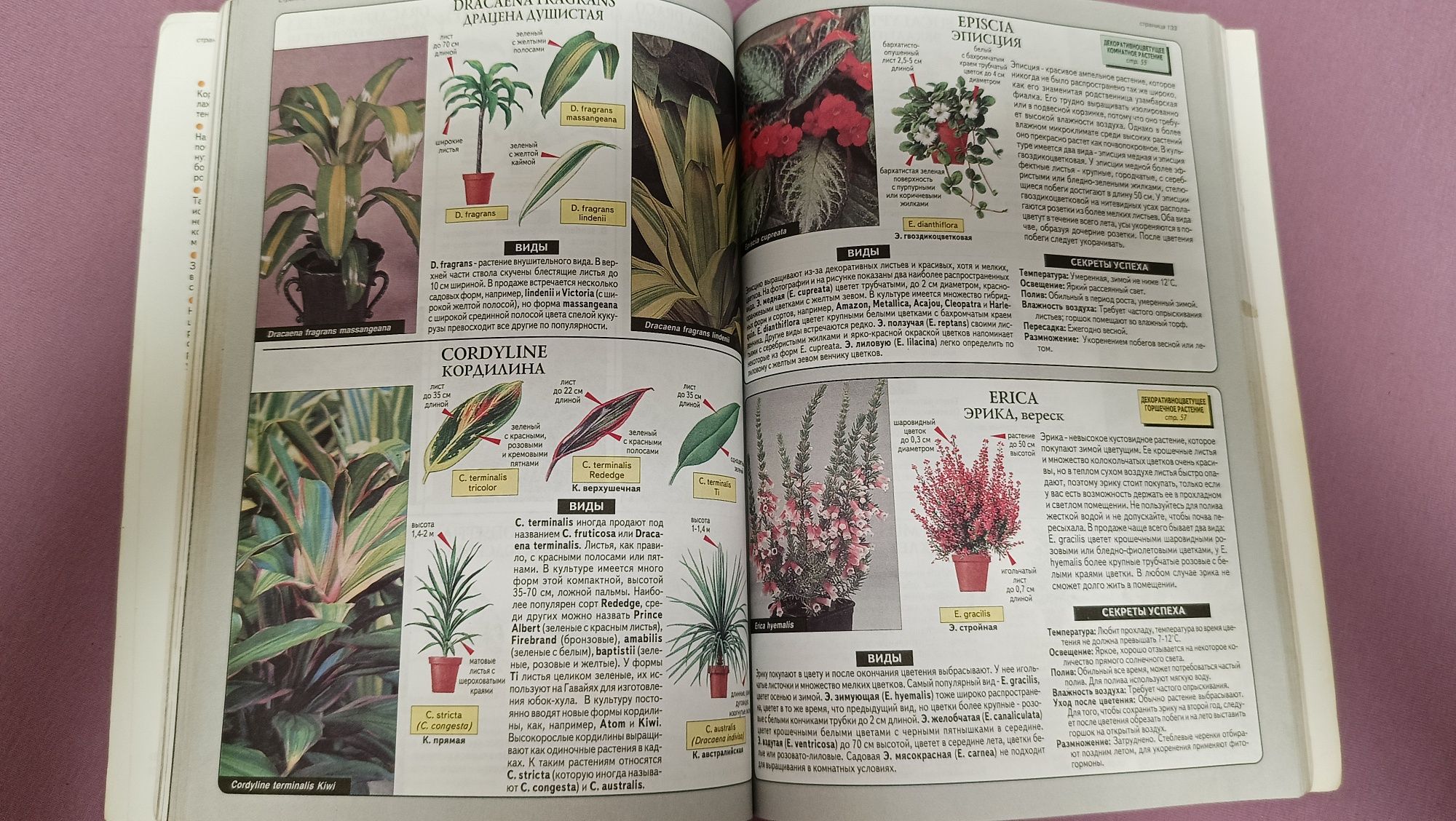 Цветы , Всё о комнатных растениях доктора Хессайона