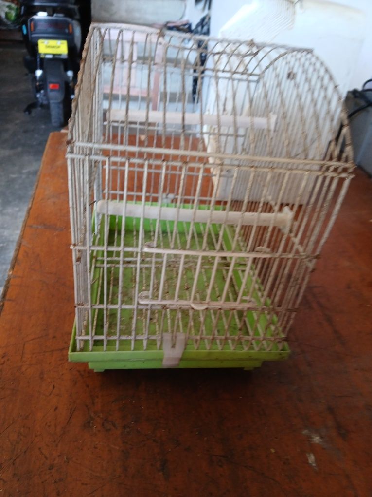 gaiolas para os passarinhos