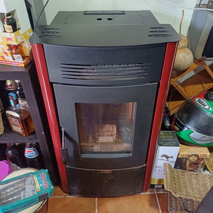 Salamndra em bom estado