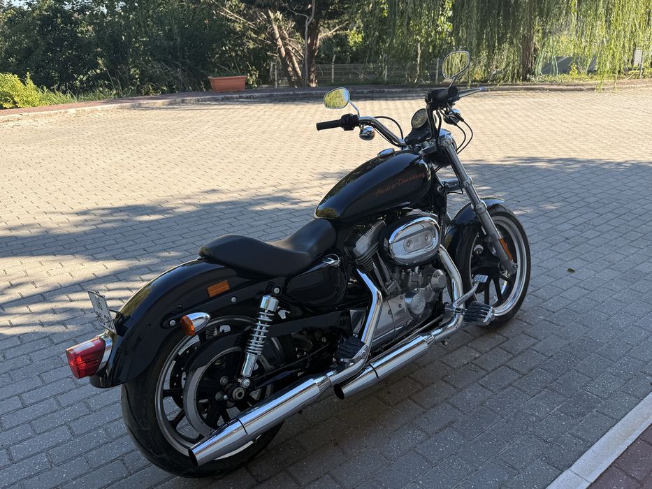 Harley davidson “Super Low” 883