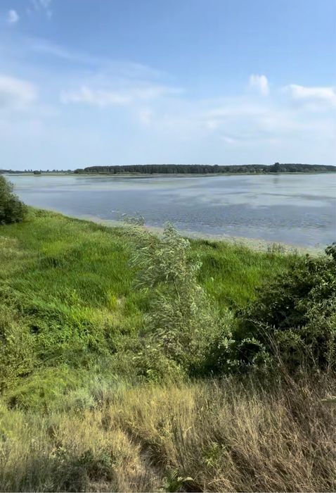 водосховище Хрінників 39сот