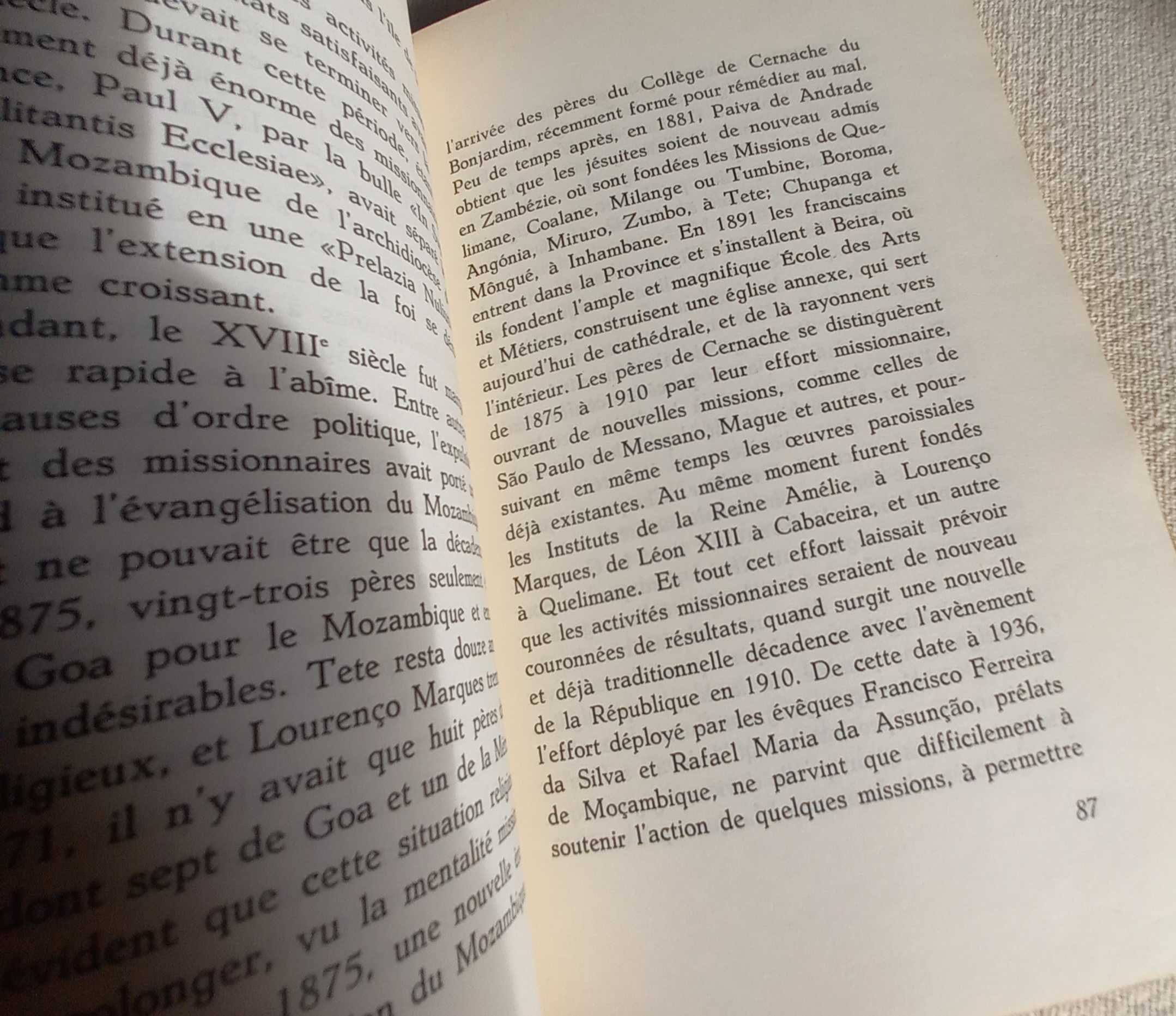 Dois livros antigos sobre Moçambique