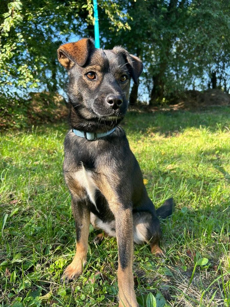 Kochany mały Bruno cudowny dwulatek 8-9 kg