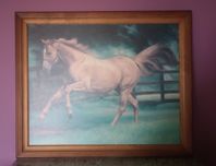 Obraz Koń kasztan 50x40 cm
